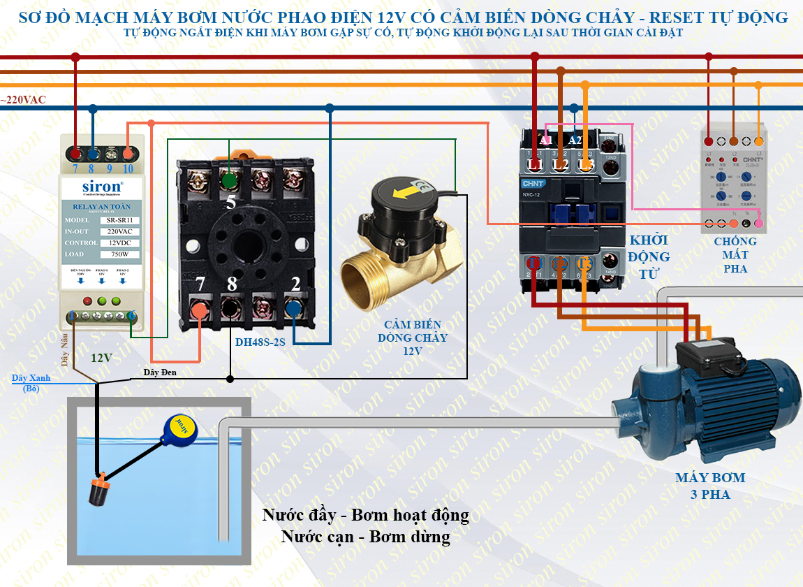 Hình ảnh bài viết