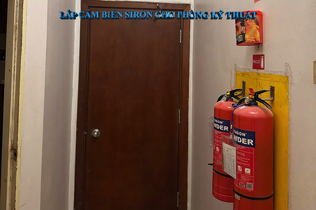 Hình ảnh bài viết