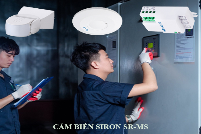 Hình ảnh bài viết