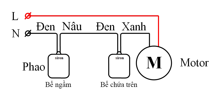 Hình ảnh bài viết