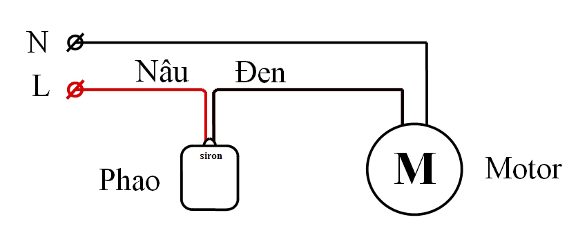 Hình ảnh bài viết