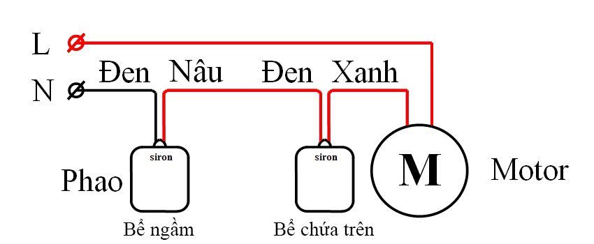 Hình ảnh bài viết