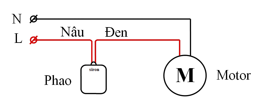 Hình ảnh bài viết
