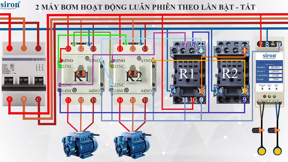 Hình ảnh bài viết