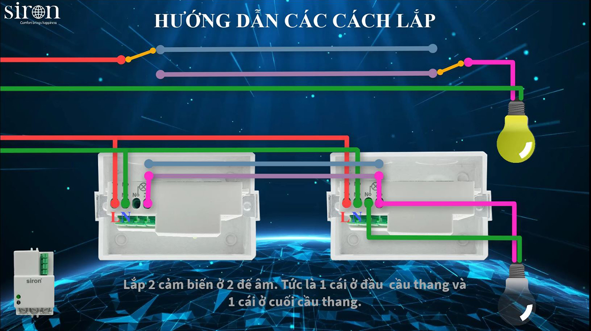 Hình ảnh bài viết