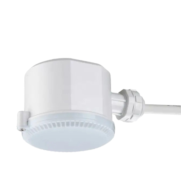 Hình ảnh bài viết