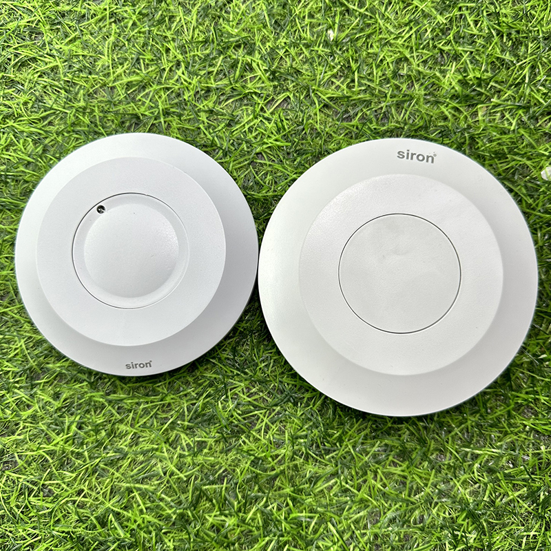 Hình ảnh bài viết