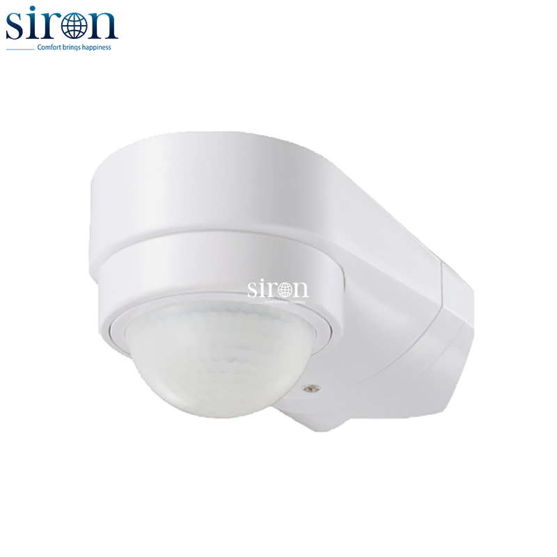 Hình ảnh bài viết