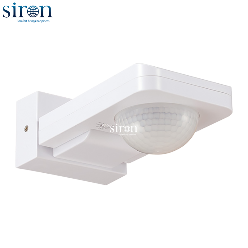 Hình ảnh bài viết