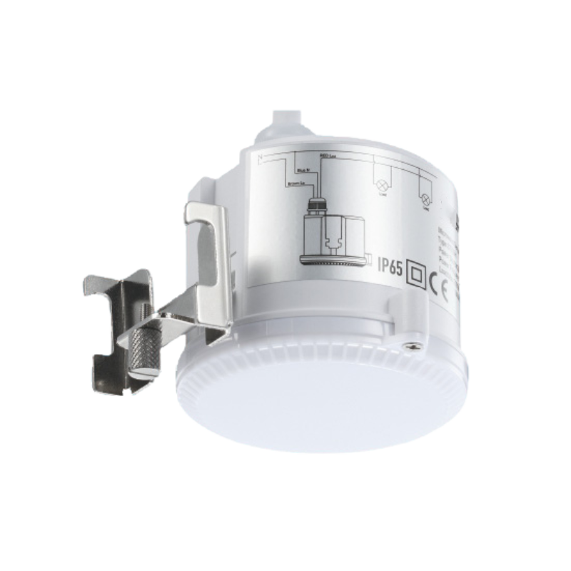 Hình ảnh bài viết