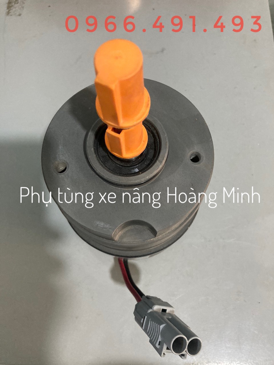 motor chạy Z130D700-24A1