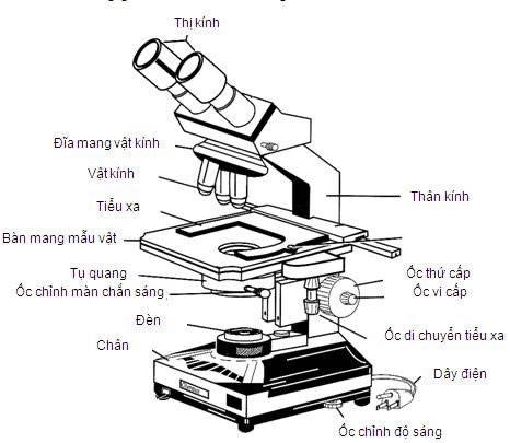 CÁCH SỬ DỤNG KÍNH HIỂN VI QUANG HỌC