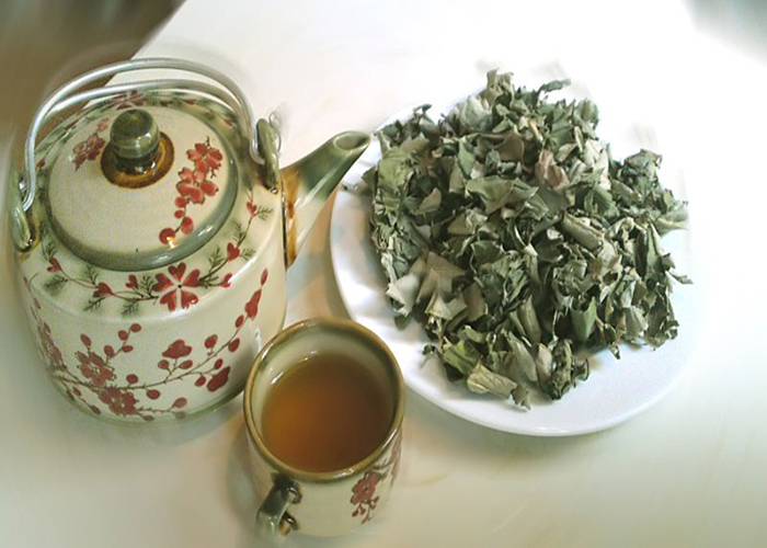 9 loại trà thuốc thông dụng