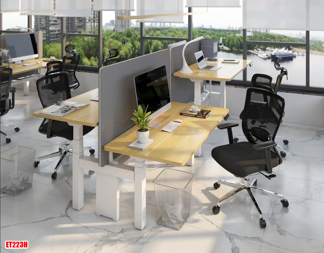 bàn nâng hạ 2 người làm việc Flexispot ET223H