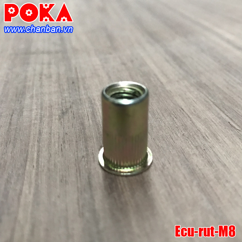 Ecu rút M8 để bắt tăng chỉnh chân bàn