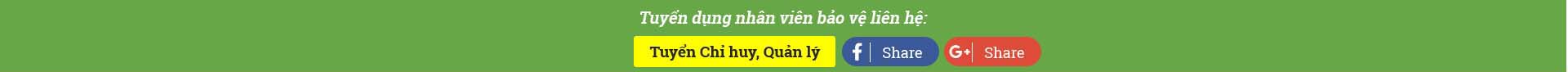 Công Ty TNHH Dịch Vụ Bảo Vệ Thắng Lợi Thăng Long