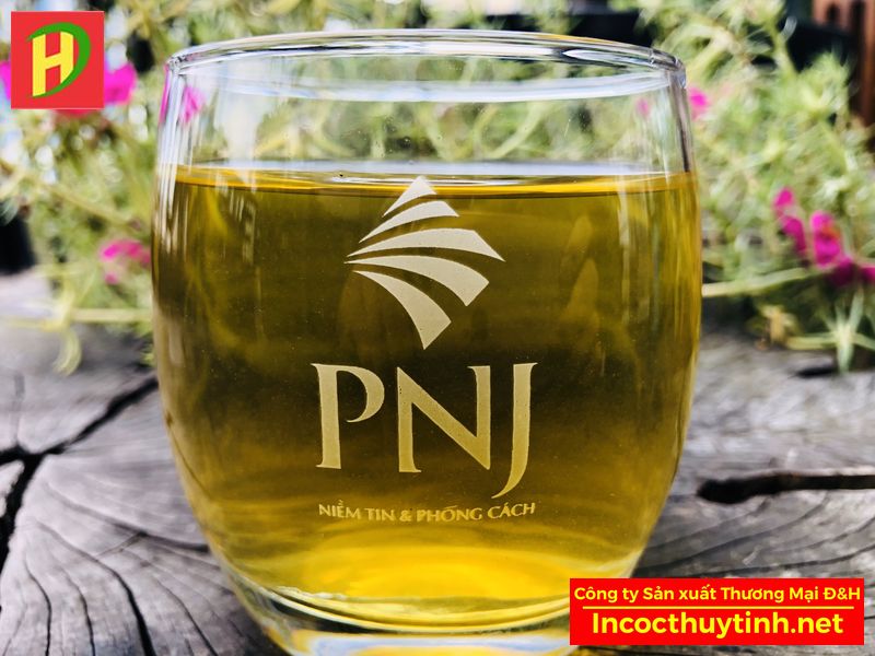 Cốc thủy tinh Ocean bầu lùn 02