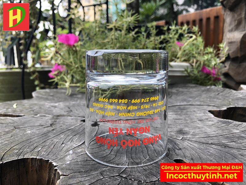 Cốc thủy tinh Ocean bầu lùn