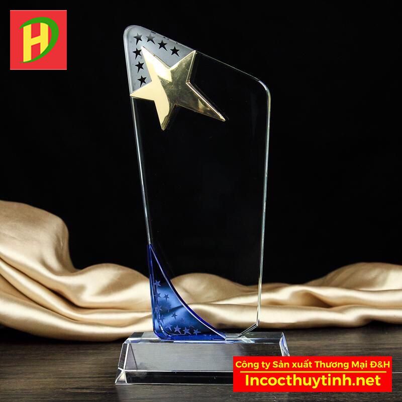 Kỷ niệm chương thủy tinh