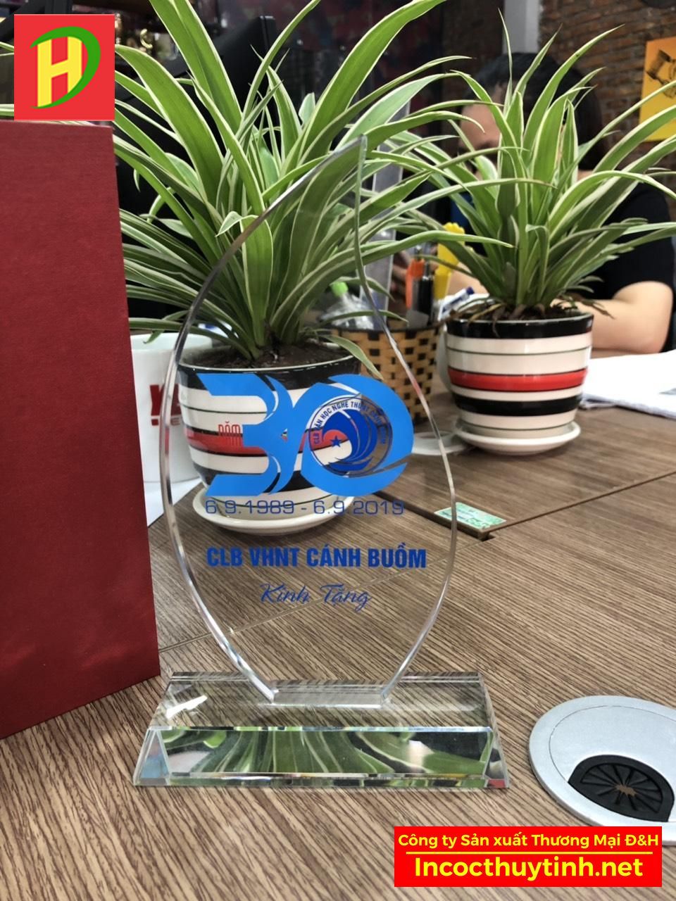 Dịch vụ in ấn logo thương hiệu kỷ niệm chương cao cấp