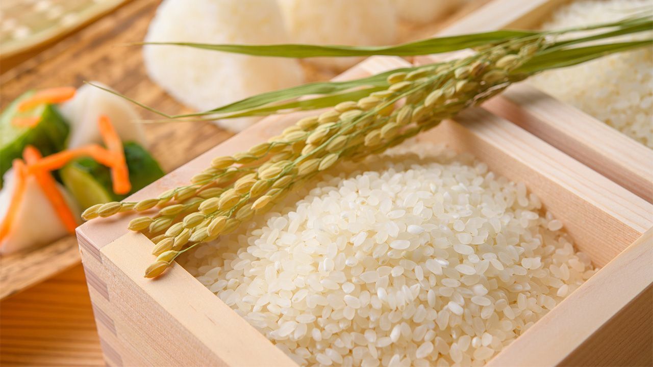 Gạo giống Nhật Japonica có sánh bằng gạo Nhật nhập khẩu?     