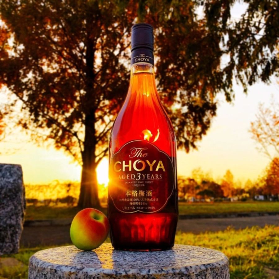Gợi ý cách thưởng thức Rượu mơ Choya Aged 3 năm