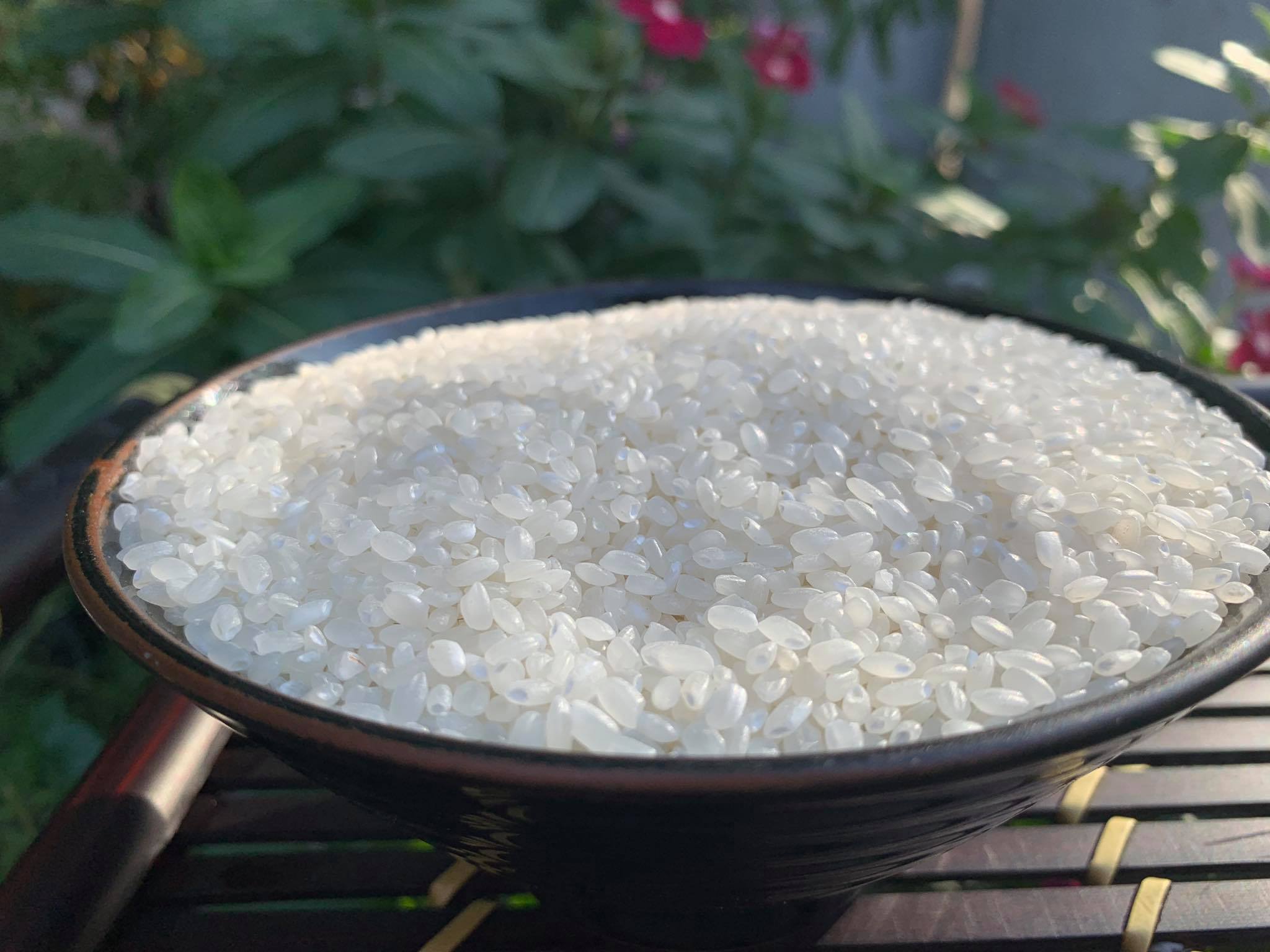 Ăn dặm kiểu Nhật có gì đặc biệt?