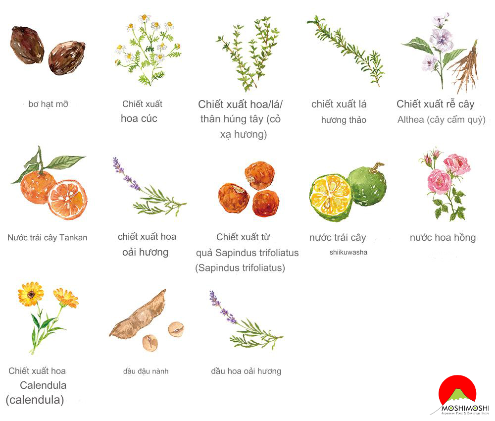 Thành phần có trong sữa rửa mặt tạo bọt Mama Butter