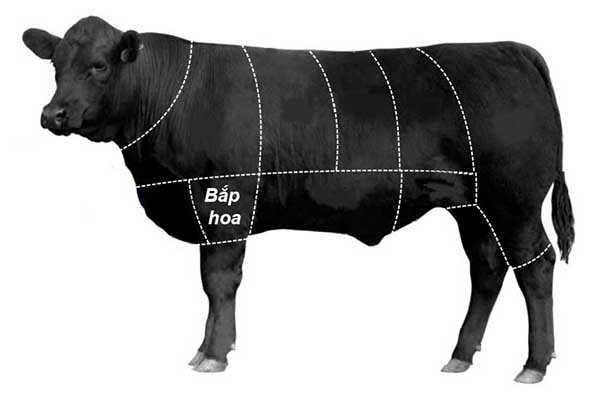 bắp hoa bò Mỹ, mua ở đâu? giá bao nhiêu? Nấu gì ngon?