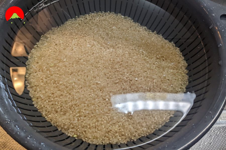 Phương pháp nấu gạo lứt đúng và an toàn