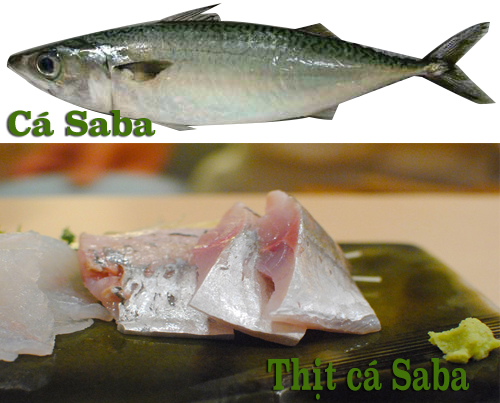 cá saba