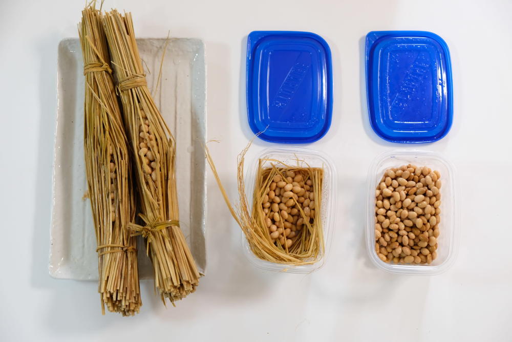 Cách làm Đậu tương lên men Natto bằng rơm và đậu nành