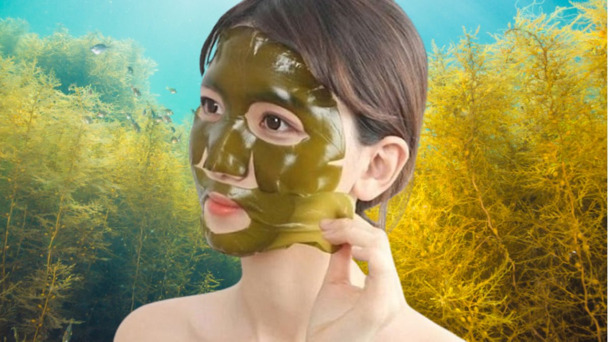 Serum tế bào gốc chống lão hóa Nhật Bản