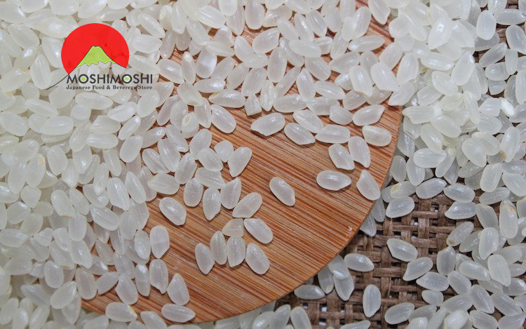 Cung cấp gạo Nhật Japonica