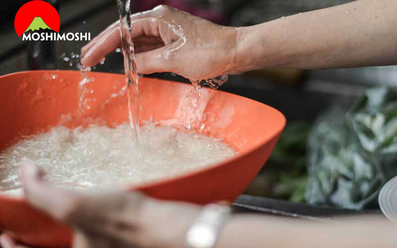 Gạo Japonica là gì