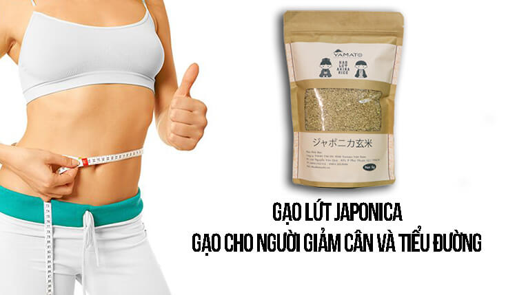 gạo lứt japonica nhật bản có tốt không