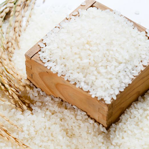 gạo Nhật