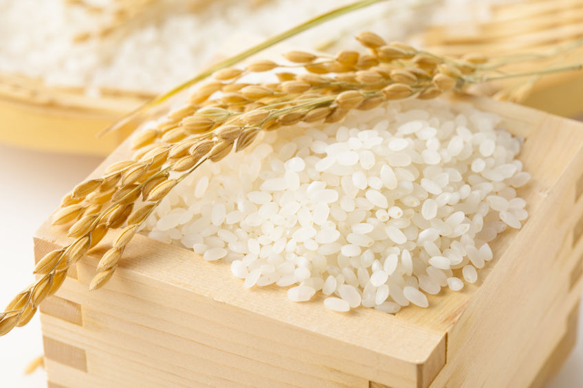 Giá Gạo Nhật hiện nay, Mua Gạo Nhật chất lượng, giá rẻ ở đâu
