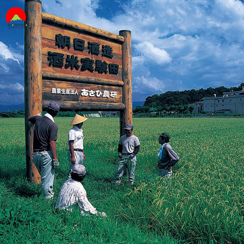 Sake Kubota Manjyu Jishakobo Jikomi tại nhà máy asahi