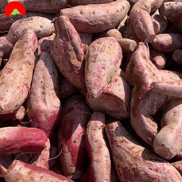 Khoai lang đỏ tím dùng để sản xuất rượu shochu Akaimo Jikomi Akarui Nouson