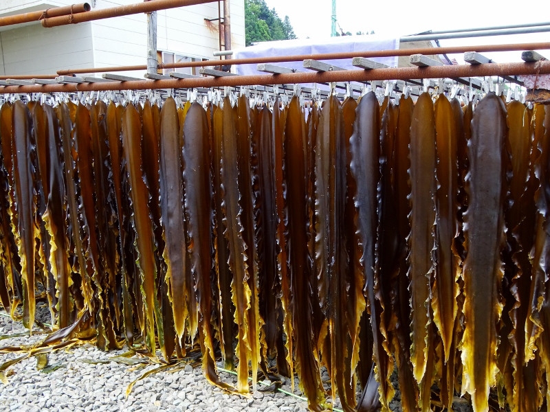 Các loại rong biển Nhật Bản phổ biến và lợi ích của chúng.