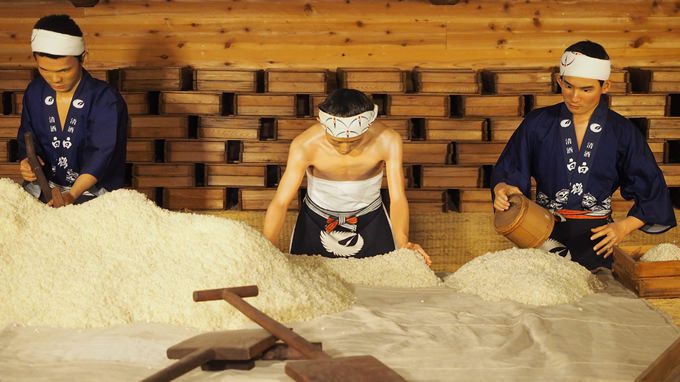 Học phụ nữ Nhật Bản làm trắng da từ rượu gạo