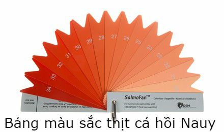 bảng màu sắc thịt cá hồi