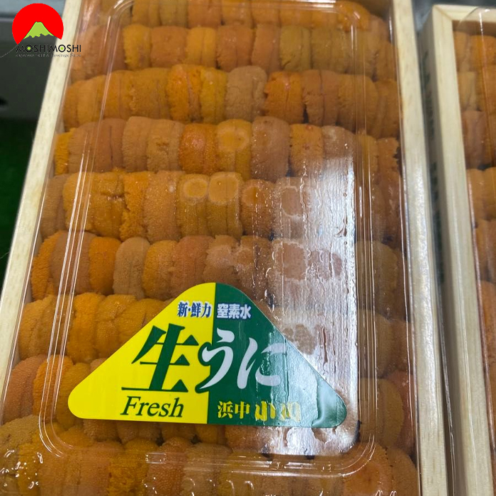 Nhum biển cao cấp Ogawa Bafun Nhật Bản