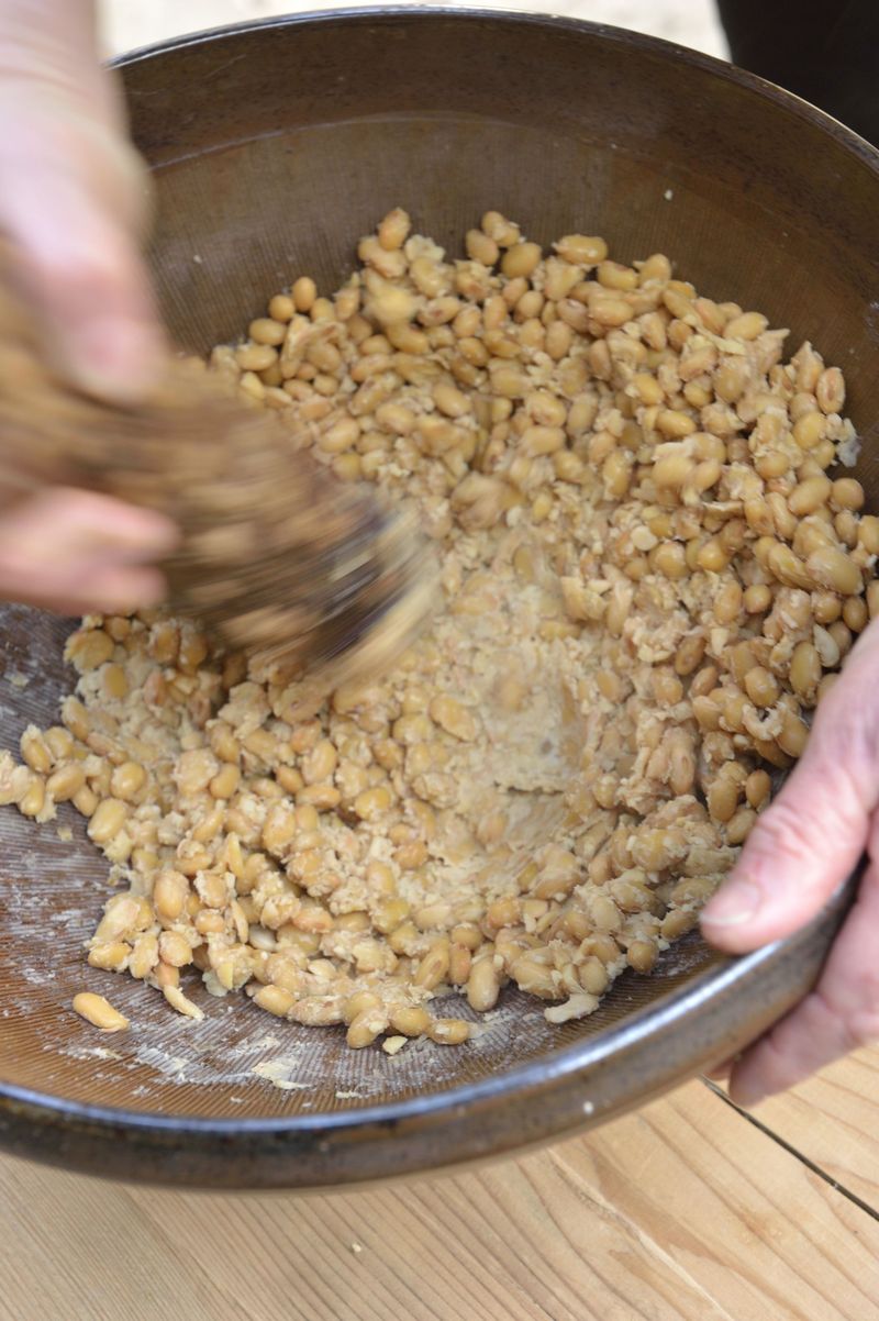 Cách làm Miso truyền thống đầy thú vị của người Nhật