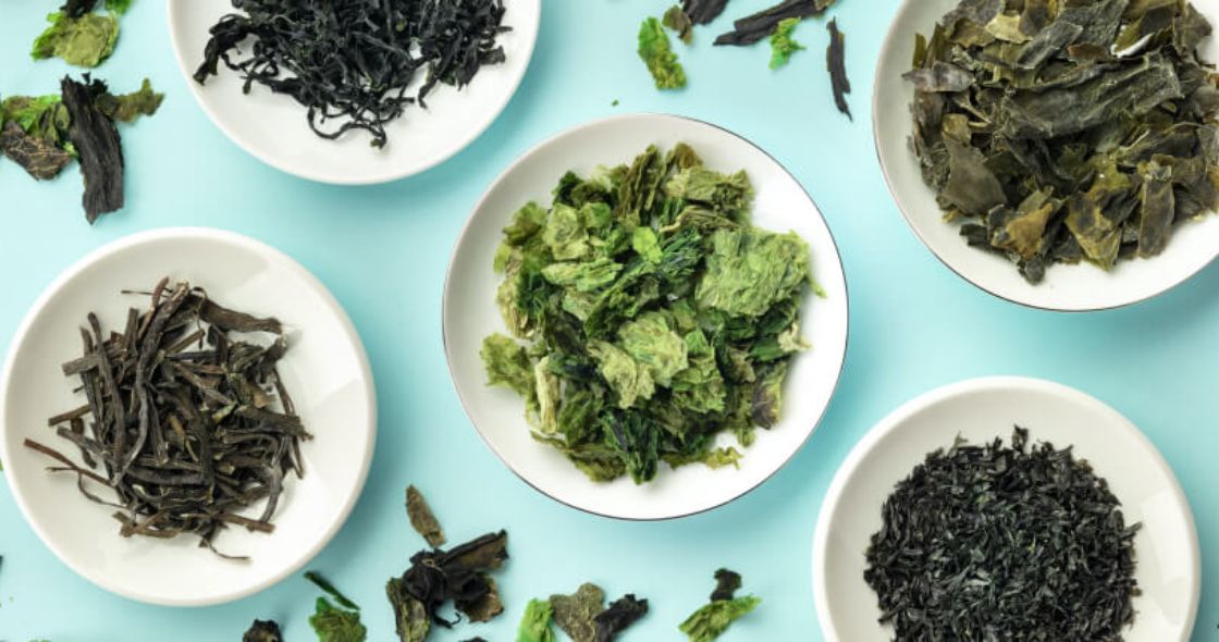 rong biển có lợi cho tuyến giáp