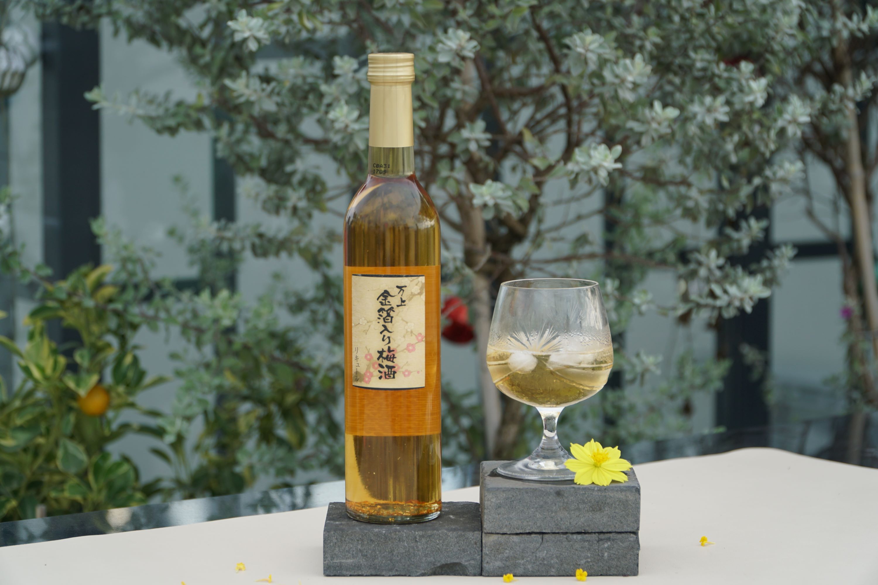 Rượu mơ vảy vàng Kikkoman Umeshu Gold