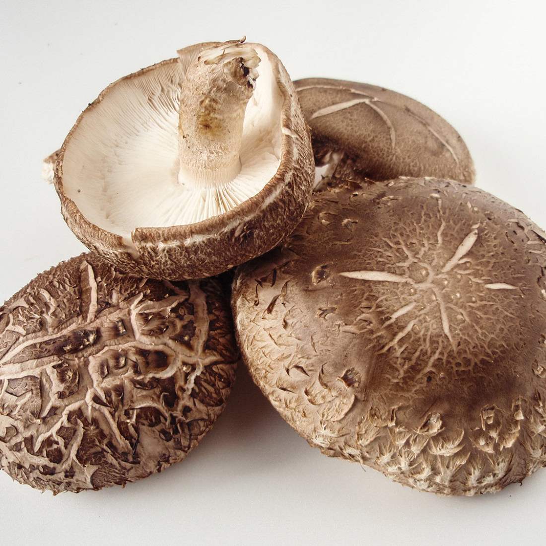 Sơ chế nấm đông cô Nhật đúng cách