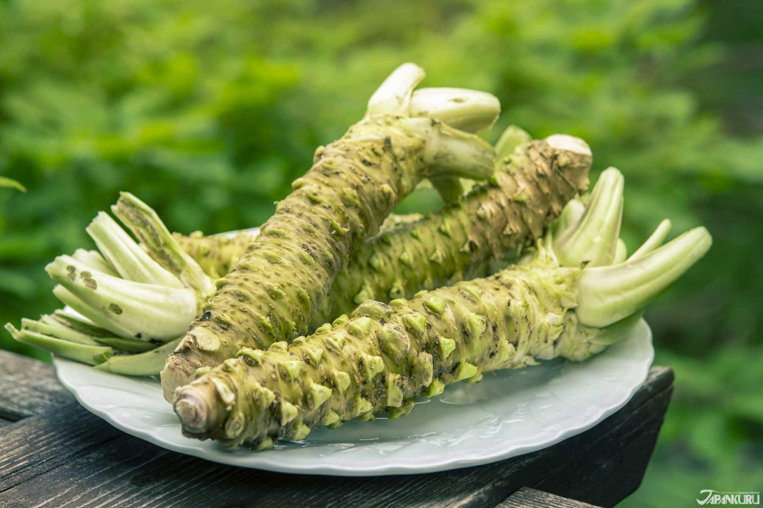 Top những món ăn hương vị Wasabi "có một không hai".