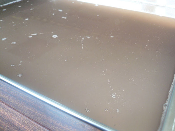 MÓN ĂN RONG BIỂN